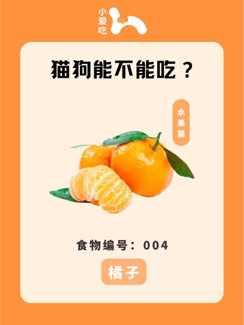 狗狗可以吃橙子吗,狗狗吃橙子吗?-第4张图片-后鲨宠物 狗狗可以吃橙子吗,狗狗吃橙子吗?-第4张图片-后鲨宠物