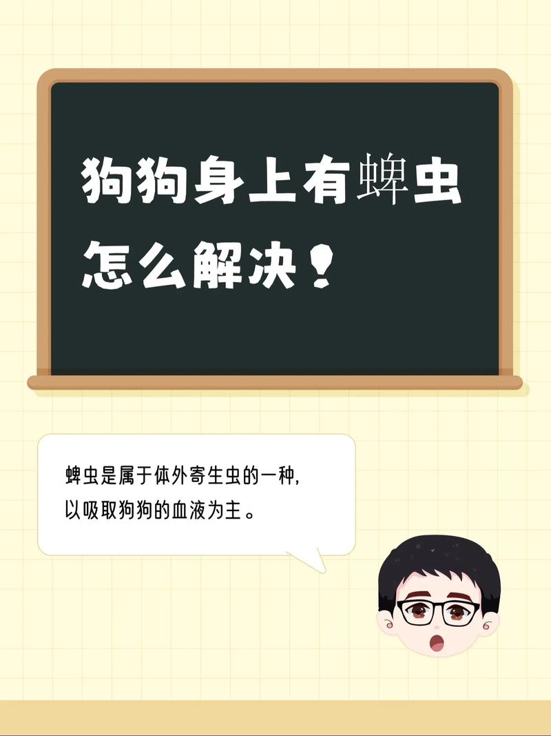 狗狗寄生虫会传染人吗_狗狗寄生虫会传染人吗视频