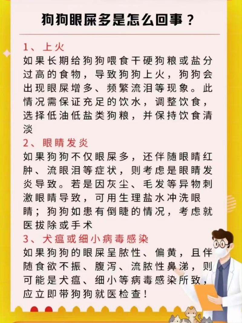 小狗狗眼屎多怎么回事,小狗眼屎特别多-第4张图片-后鲨宠物 小狗狗眼屎多怎么回事,小狗眼屎特别多-第4张图片-后鲨宠物