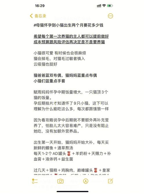 猫咪怀孕几个月生小猫,猫咪怀孕几个月生小猫崽?-第2张图片-后鲨宠物 猫咪怀孕几个月生小猫,猫咪怀孕几个月生小猫崽?-第2张图片-后鲨宠物