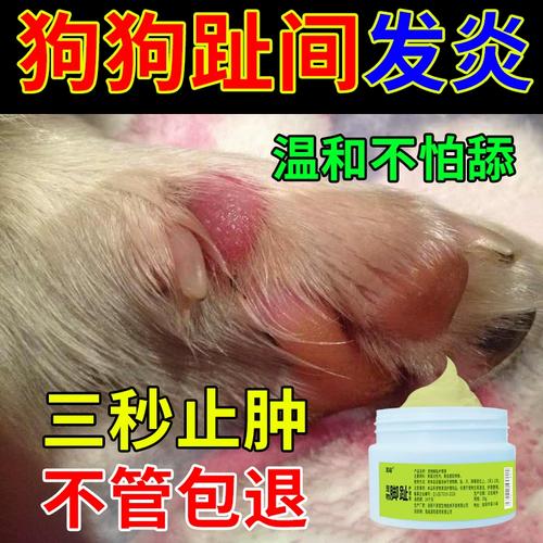 狗狗脚趾炎怎么治疗,狗狗脚趾炎怎么办?-第4张图片-后鲨宠物 狗狗脚趾炎怎么治疗,狗狗脚趾炎怎么办?-第4张图片-后鲨宠物