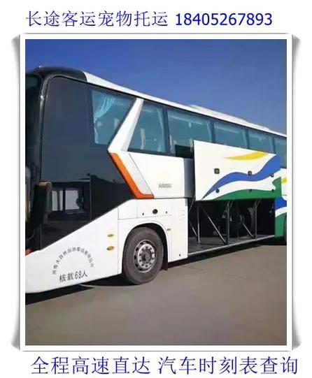  狗狗可以带上大巴车吗，小狗狗可以带上大巴车么-第5张图片-后鲨宠物