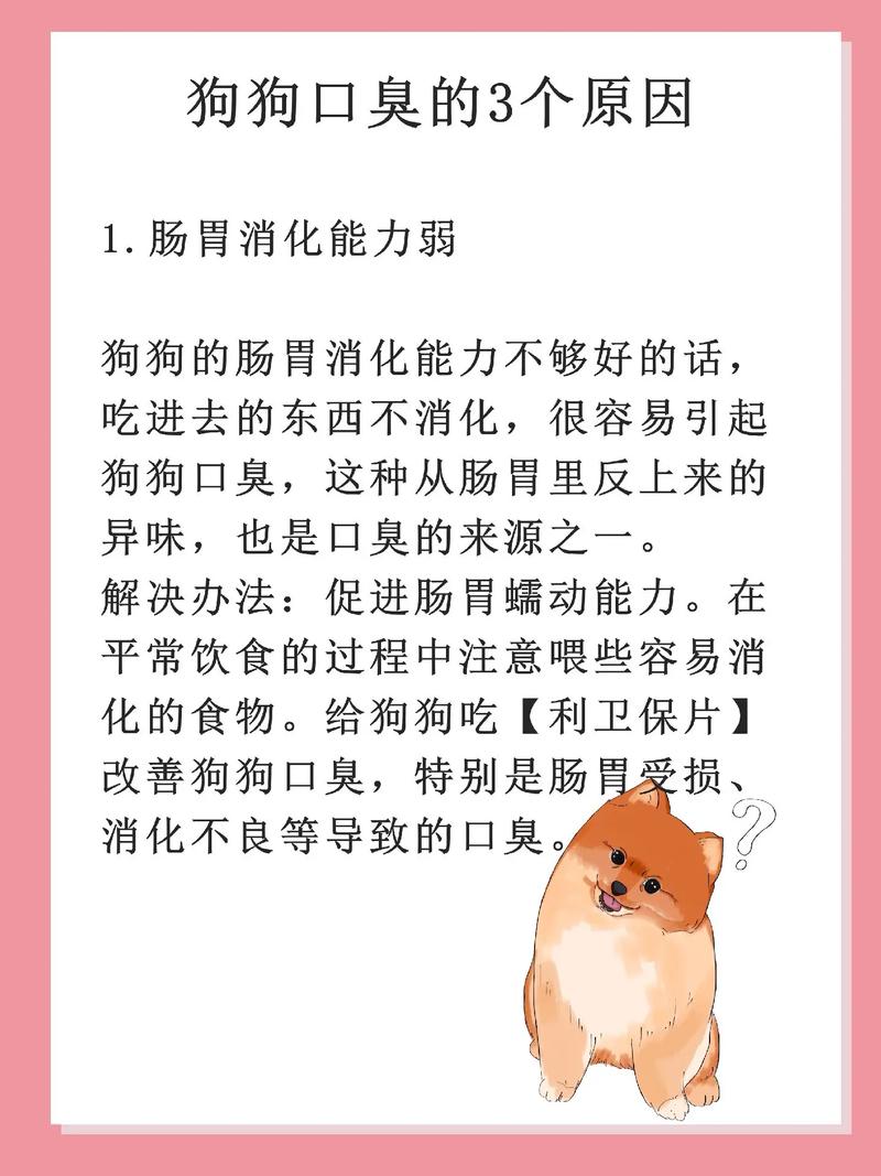 狗狗口臭的原因_狗狗口臭是什么原因-第3张图片-后鲨宠物 狗狗口臭的原因_狗狗口臭是什么原因-第3张图片-后鲨宠物