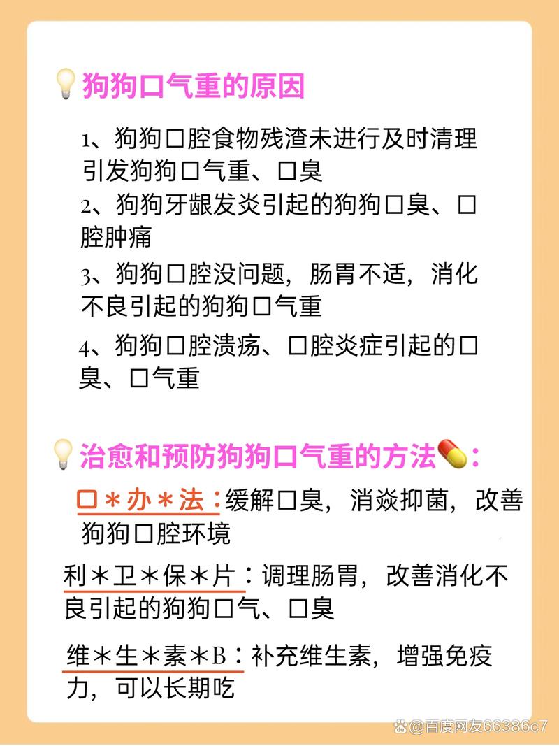 狗狗口臭的原因_狗狗口臭是什么原因-第5张图片-后鲨宠物 狗狗口臭的原因_狗狗口臭是什么原因-第5张图片-后鲨宠物