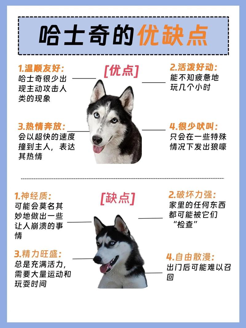 二个月的狗狗养的禁忌_二个月的狗狗好养吗-第3张图片-后鲨宠物 二个月的狗狗养的禁忌_二个月的狗狗好养吗-第3张图片-后鲨宠物