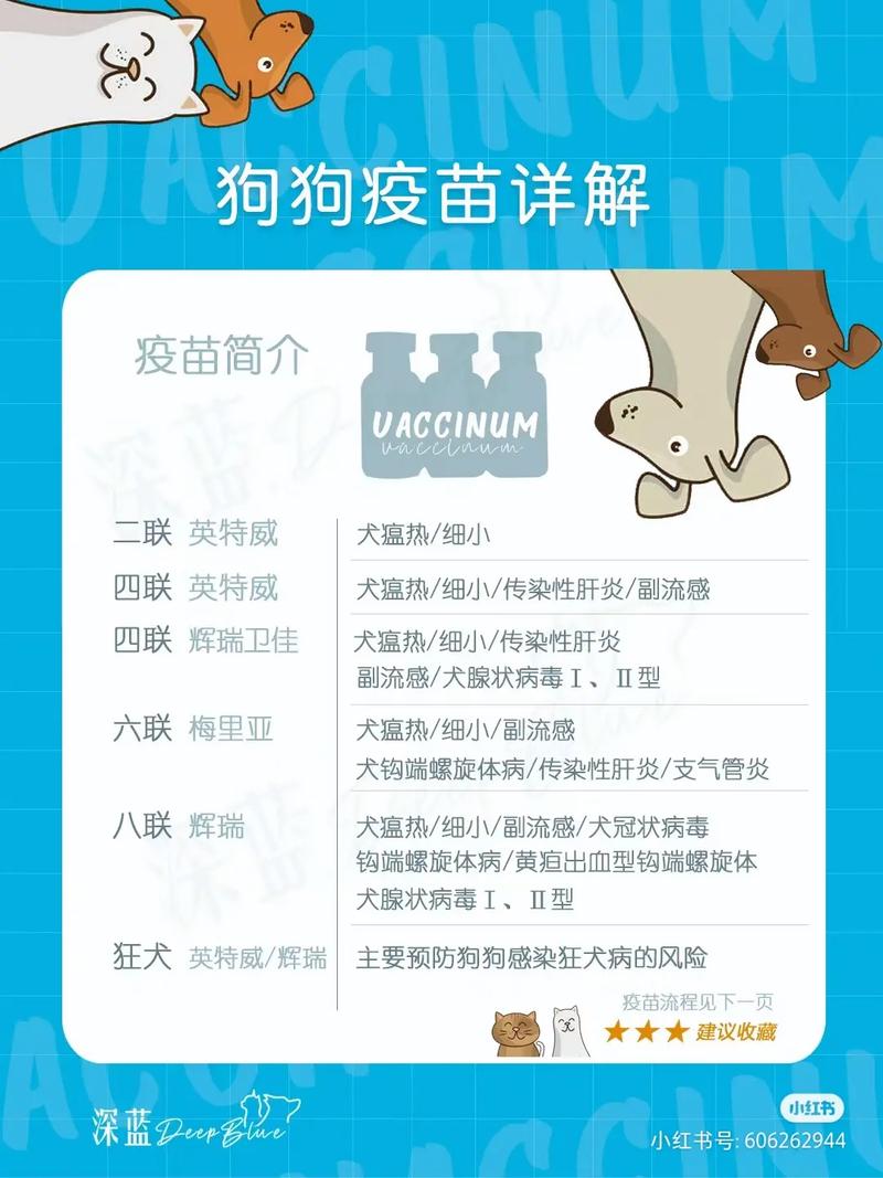 二个月的狗狗养的禁忌_二个月的狗狗好养吗-第5张图片-后鲨宠物 二个月的狗狗养的禁忌_二个月的狗狗好养吗-第5张图片-后鲨宠物