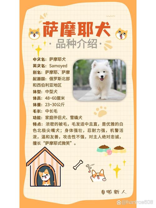 二个月的狗狗养的禁忌_二个月的狗狗好养吗-第6张图片-后鲨宠物 二个月的狗狗养的禁忌_二个月的狗狗好养吗-第6张图片-后鲨宠物