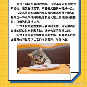 猫咪可以吃鸡肝吗_猫咪可以吃鸡肝吗 煮熟的