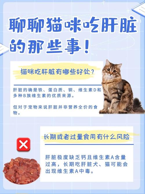猫咪可以吃鸡肝吗_猫咪可以吃鸡肝吗 煮熟的-第2张图片-后鲨宠物 猫咪可以吃鸡肝吗_猫咪可以吃鸡肝吗 煮熟的-第2张图片-后鲨宠物