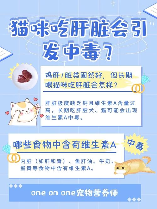猫咪可以吃鸡肝吗_猫咪可以吃鸡肝吗 煮熟的-第3张图片-后鲨宠物 猫咪可以吃鸡肝吗_猫咪可以吃鸡肝吗 煮熟的-第3张图片-后鲨宠物