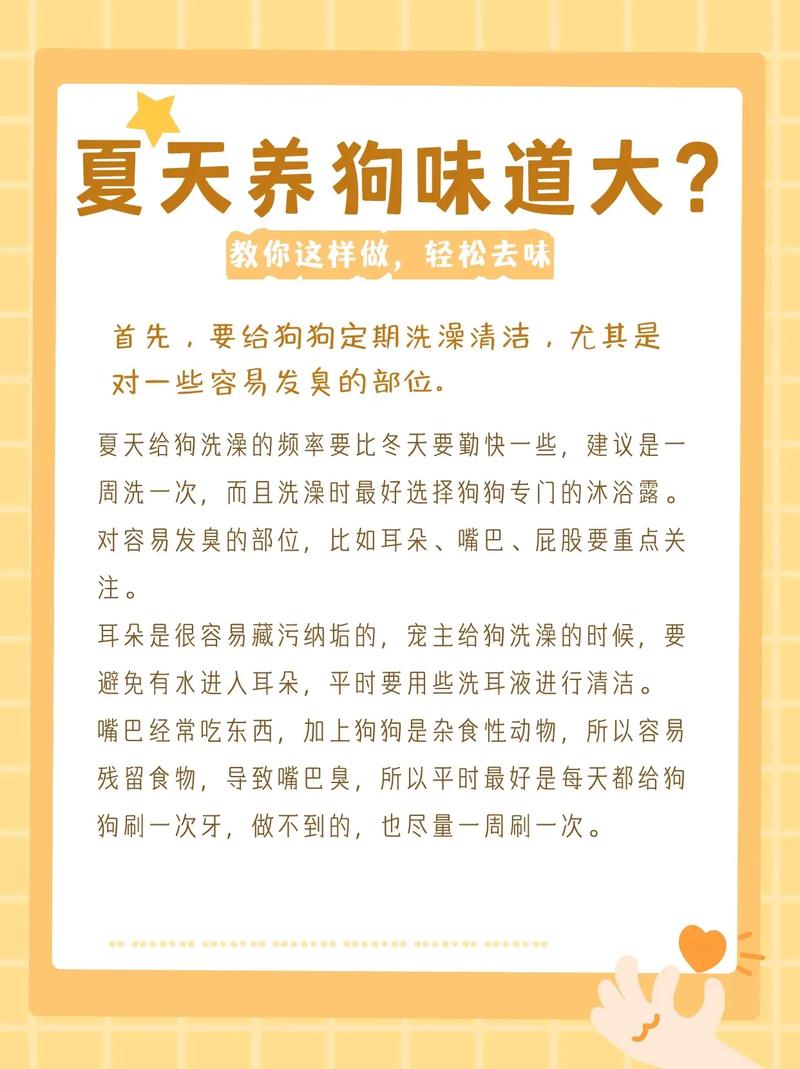 狗狗身上有臭味怎么办_狗狗身上有臭味怎么办吃什么药