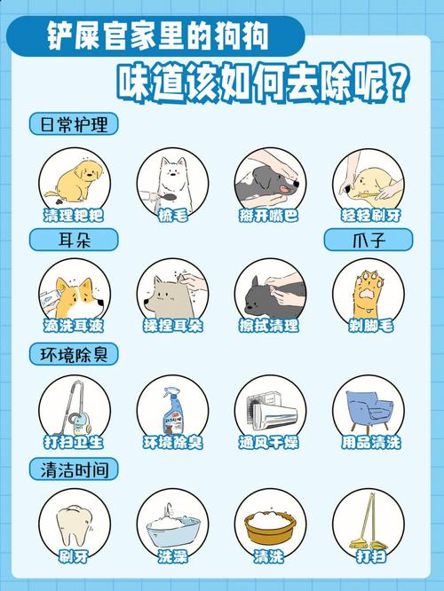 狗狗身上有臭味怎么办_狗狗身上有臭味怎么办吃什么药-第2张图片-后鲨宠物 狗狗身上有臭味怎么办_狗狗身上有臭味怎么办吃什么药-第2张图片-后鲨宠物