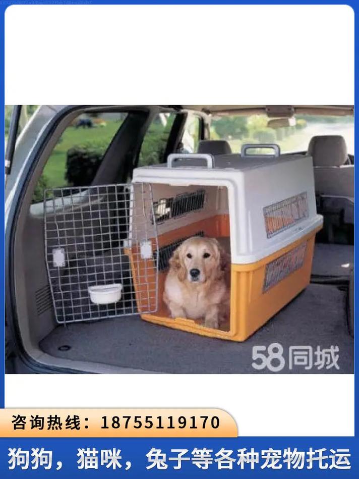 狗狗空运需要什么手续_狗狗空运需要什么手续费