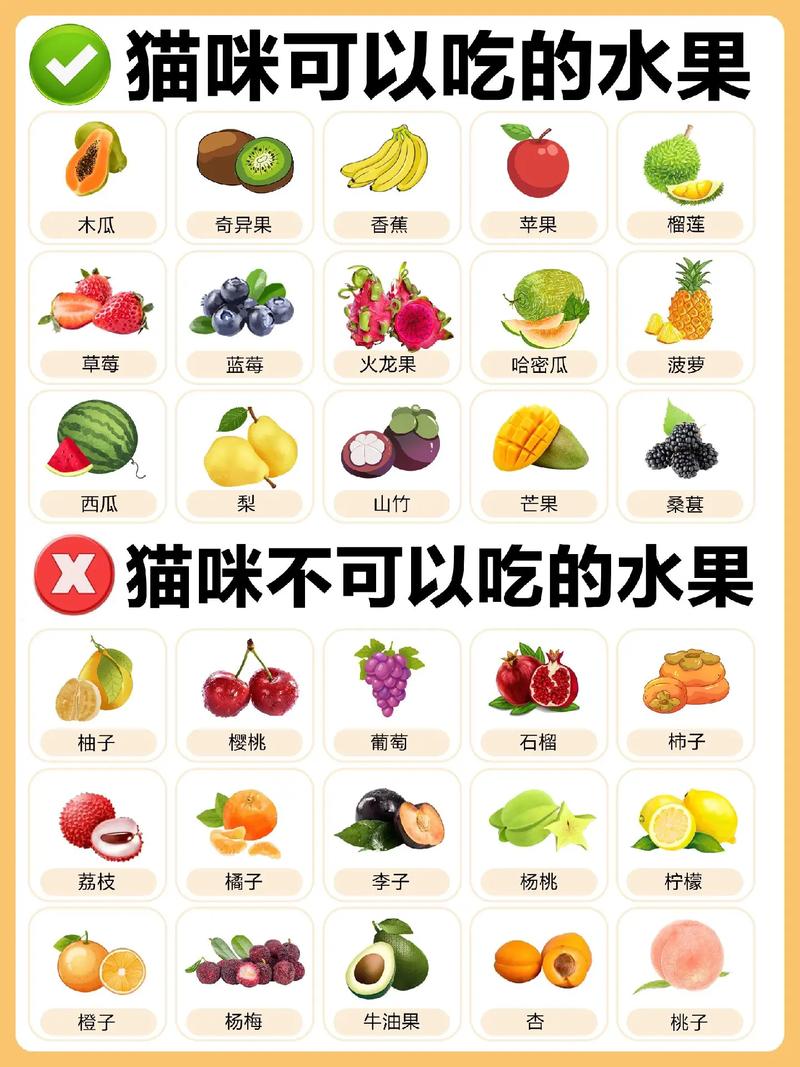  小猫咪可以吃什么，小猫咪可以吃什么水果-第3张图片-后鲨宠物