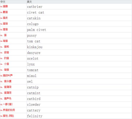 猫咪高贵洋气的英文名_猫咪高贵洋气的英文名公-第2张图片-后鲨宠物 猫咪高贵洋气的英文名_猫咪高贵洋气的英文名公-第2张图片-后鲨宠物
