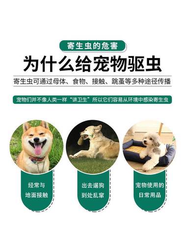 狗狗除跳蚤的简单方法,如何除去狗狗的跳蚤-第2张图片-后鲨宠物 狗狗除跳蚤的简单方法,如何除去狗狗的跳蚤-第2张图片-后鲨宠物