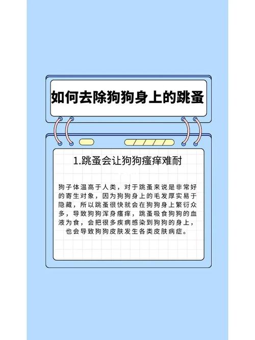 狗狗除跳蚤的简单方法,如何除去狗狗的跳蚤-第4张图片-后鲨宠物 狗狗除跳蚤的简单方法,如何除去狗狗的跳蚤-第4张图片-后鲨宠物