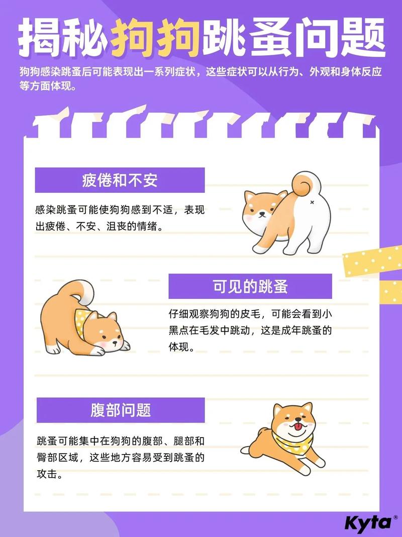 狗狗除跳蚤的简单方法,如何除去狗狗的跳蚤-第5张图片-后鲨宠物 狗狗除跳蚤的简单方法,如何除去狗狗的跳蚤-第5张图片-后鲨宠物