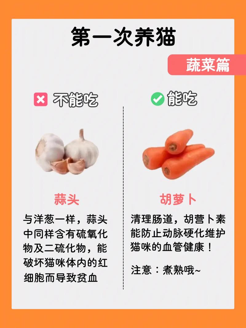 猫咪可以吃青菜吗,猫可以吃青菜嘛-第4张图片-后鲨宠物 猫咪可以吃青菜吗,猫可以吃青菜嘛-第4张图片-后鲨宠物