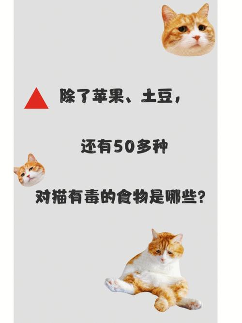 猫猫能吃什么水果_猫猫吃什么水果好-第3张图片-后鲨宠物 猫猫能吃什么水果_猫猫吃什么水果好-第3张图片-后鲨宠物