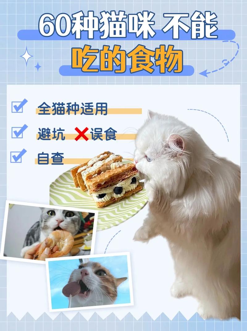 猫咪不肯吃东西怎么办_猫猫不肯吃饭怎么办-第2张图片-后鲨宠物 猫咪不肯吃东西怎么办_猫猫不肯吃饭怎么办-第2张图片-后鲨宠物