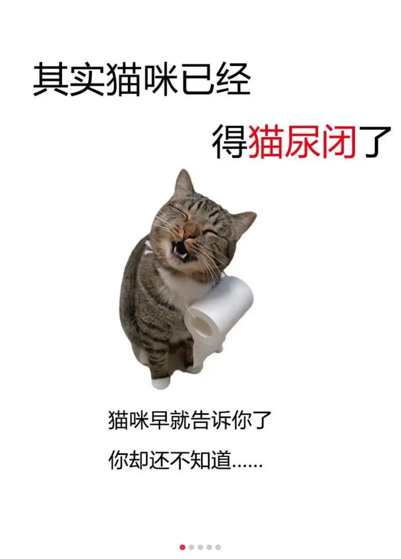 猫咪想上厕所的表现,怎么知道猫要大小便了-第2张图片-后鲨宠物 猫咪想上厕所的表现,怎么知道猫要大小便了-第2张图片-后鲨宠物