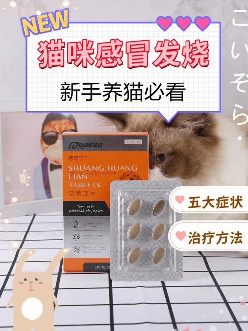 猫咪发烧有什么症状,猫咪发烧有什么症状?-第4张图片-后鲨宠物 猫咪发烧有什么症状,猫咪发烧有什么症状?-第4张图片-后鲨宠物
