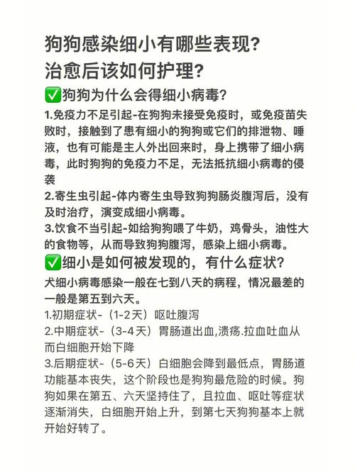 狗狗几个月容易得细小,狗狗几个月容易得细小病毒?-第4张图片-后鲨宠物 狗狗几个月容易得细小,狗狗几个月容易得细小病毒?-第4张图片-后鲨宠物