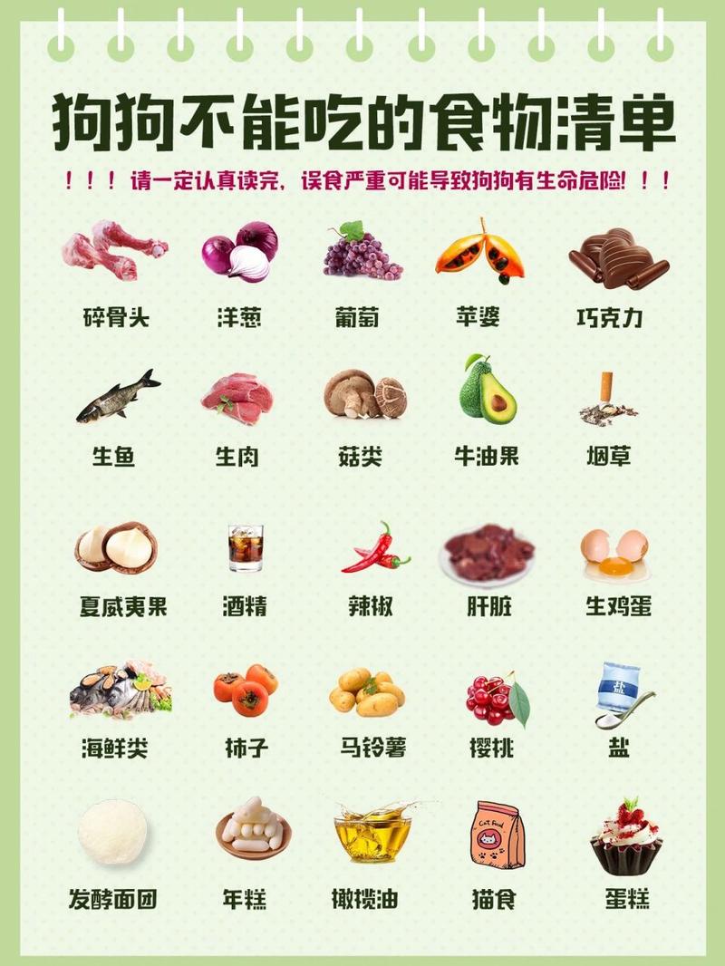 狗狗能吃煎蛋吗,狗狗能吃煎鸡蛋吗-第5张图片-后鲨宠物 狗狗能吃煎蛋吗,狗狗能吃煎鸡蛋吗-第5张图片-后鲨宠物