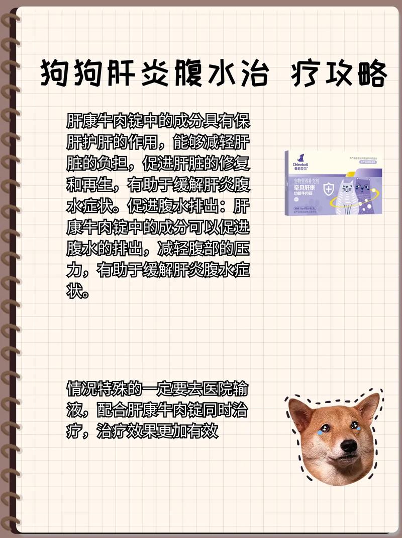 狗狗腹水怎么引起的_狗狗腹水怎么治疗方法-第3张图片-后鲨宠物 狗狗腹水怎么引起的_狗狗腹水怎么治疗方法-第3张图片-后鲨宠物