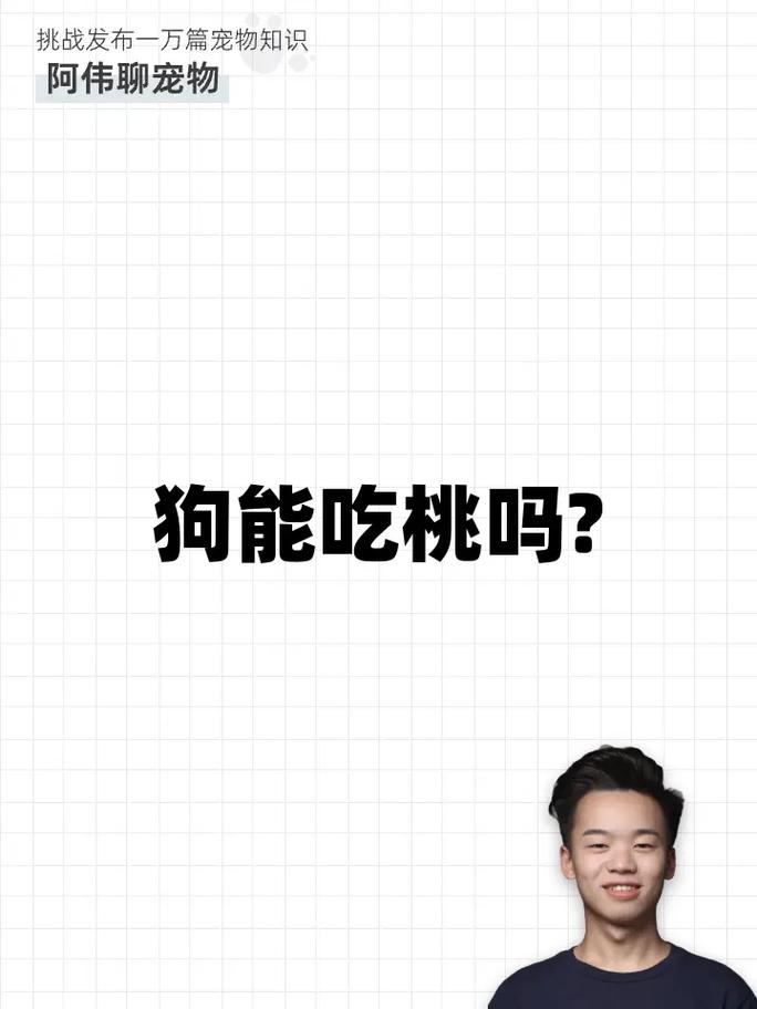 桃子狗狗可以吃吗_桃子狗狗可以吃吗有毒吗-第5张图片-后鲨宠物