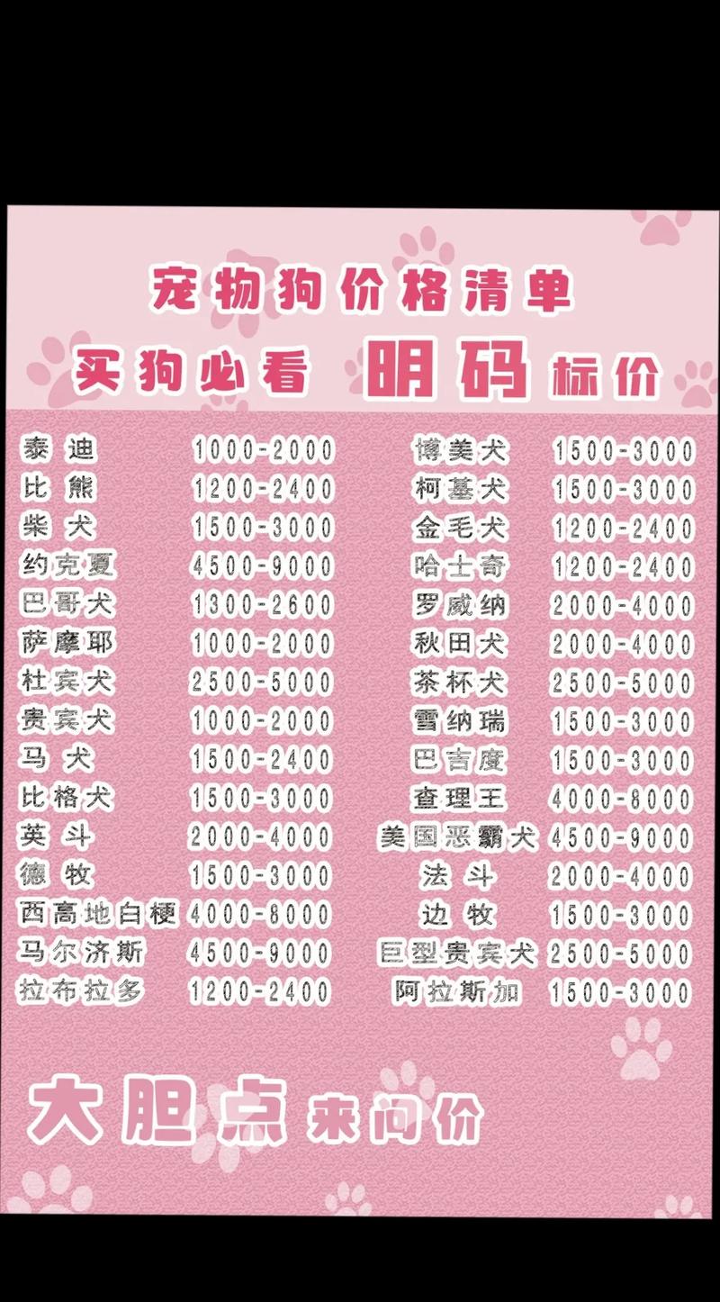 狗狗的品种及费用,狗的品种及费用图片大全2-第4张图片-后鲨宠物 狗狗的品种及费用,狗的品种及费用图片大全2-第4张图片-后鲨宠物