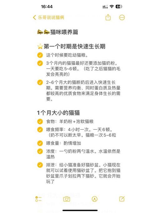 猫咪什么时候断奶，如何判断小猫几个月了？