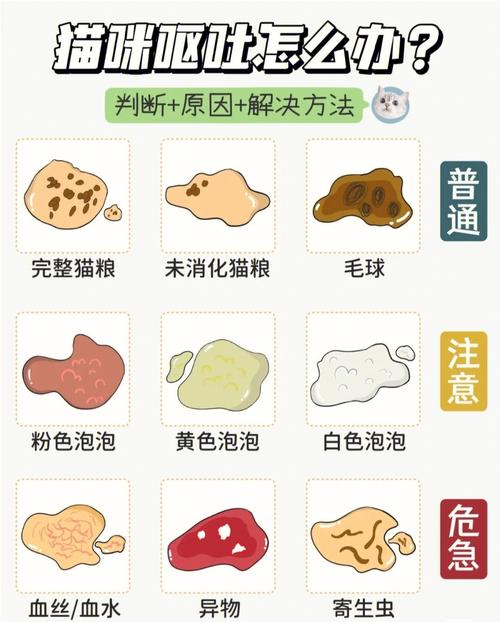 猫咪呕吐黄色泡沫_猫咪呕吐黄色泡沫液体-第4张图片-后鲨宠物 猫咪呕吐黄色泡沫_猫咪呕吐黄色泡沫液体-第4张图片-后鲨宠物