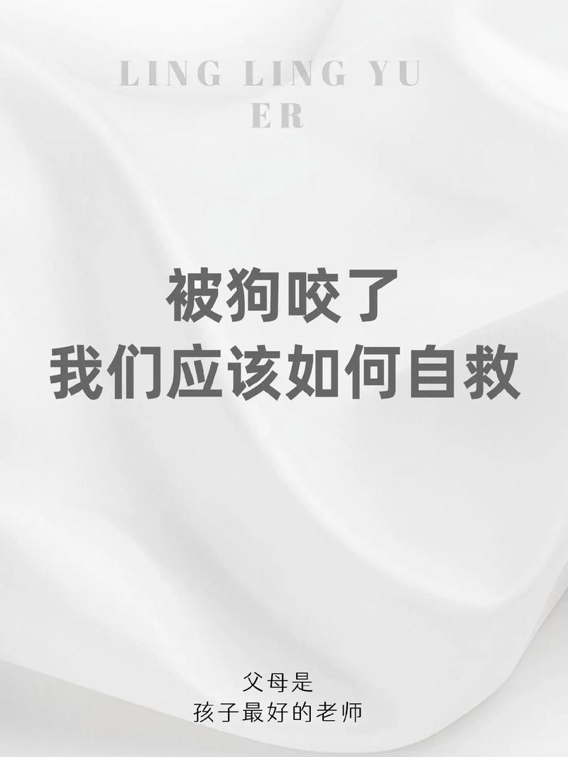 狗狗胆子小怎么训练,狗狗胆子太小?-第6张图片-后鲨宠物 狗狗胆子小怎么训练,狗狗胆子太小?-第6张图片-后鲨宠物