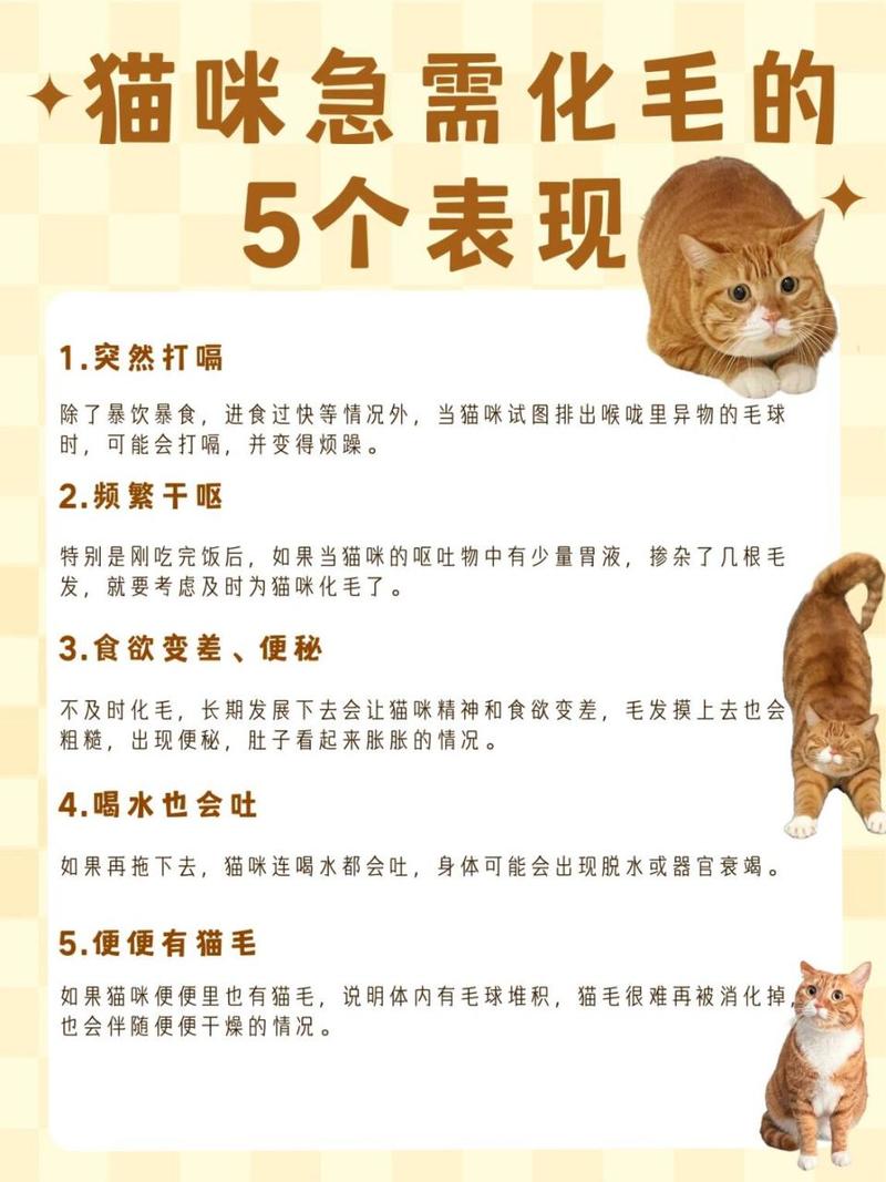  猫咪打嗝怎么办，猫咪打嗝是怎么回事_爱宠问答