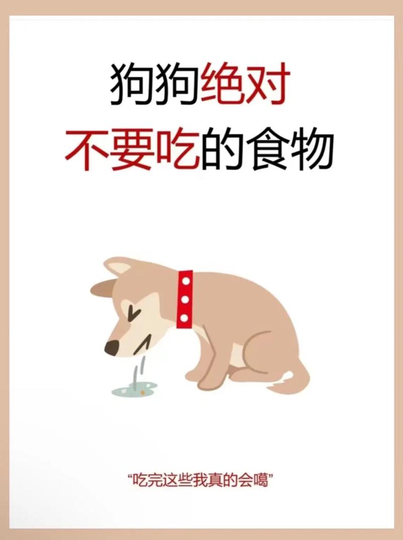 狗狗能吃青萝卜吗_狗狗能吃青萝卜吗熟的-第1张图片-后鲨宠物 狗狗能吃青萝卜吗_狗狗能吃青萝卜吗熟的-第1张图片-后鲨宠物