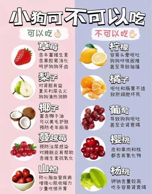 狗狗可以喝脱脂牛奶吗_狗狗能喝脱脂牛奶-第1张图片-后鲨宠物 狗狗可以喝脱脂牛奶吗_狗狗能喝脱脂牛奶-第1张图片-后鲨宠物