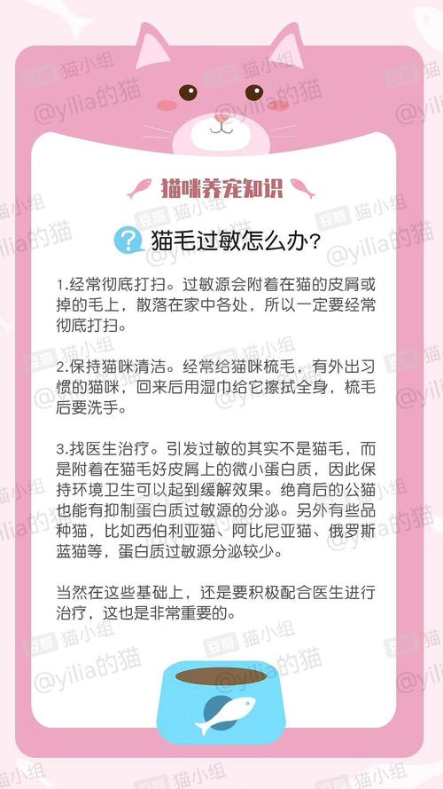 对猫咪过敏怎么办_对猫咪过敏怎么办?又想养猫-第3张图片-后鲨宠物
