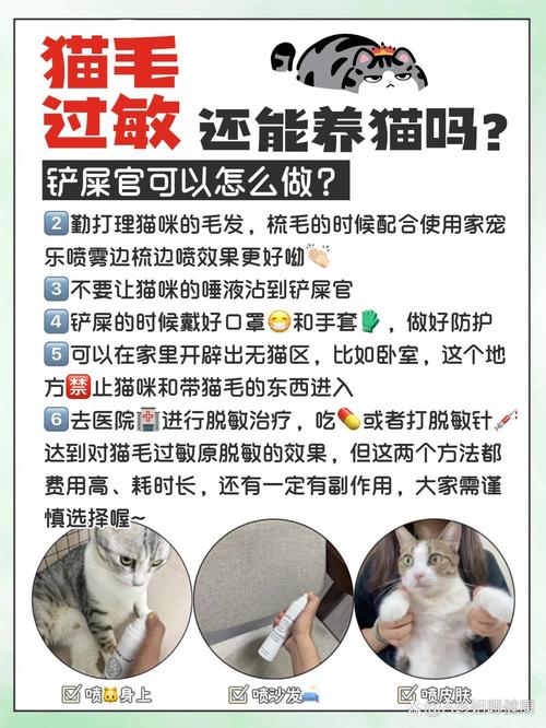 对猫咪过敏怎么办_对猫咪过敏怎么办?又想养猫-第6张图片-后鲨宠物