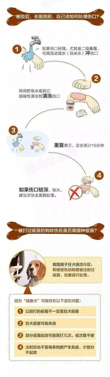 狗狗能用碘伏吗,小狗狗能用碘伏吗-第3张图片-后鲨宠物 狗狗能用碘伏吗,小狗狗能用碘伏吗-第3张图片-后鲨宠物