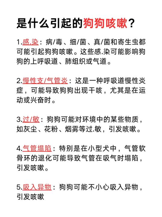  狗狗喝水咳嗽怎么回事，狗狗喝水咳嗽正常吗-第2张图片-后鲨宠物