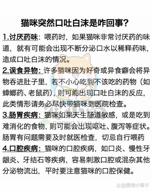 猫咪口吐白沫怎么办，猫出现口吐白沫是什么症状？-第2张图片-后鲨宠物