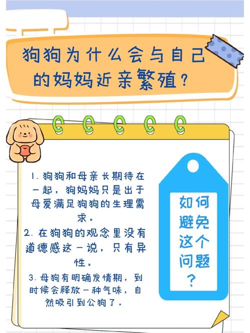 狗狗怀孕多长时间下奶,狗狗怀孕多少天下奶?-第2张图片-后鲨宠物 狗狗怀孕多长时间下奶,狗狗怀孕多少天下奶?-第2张图片-后鲨宠物