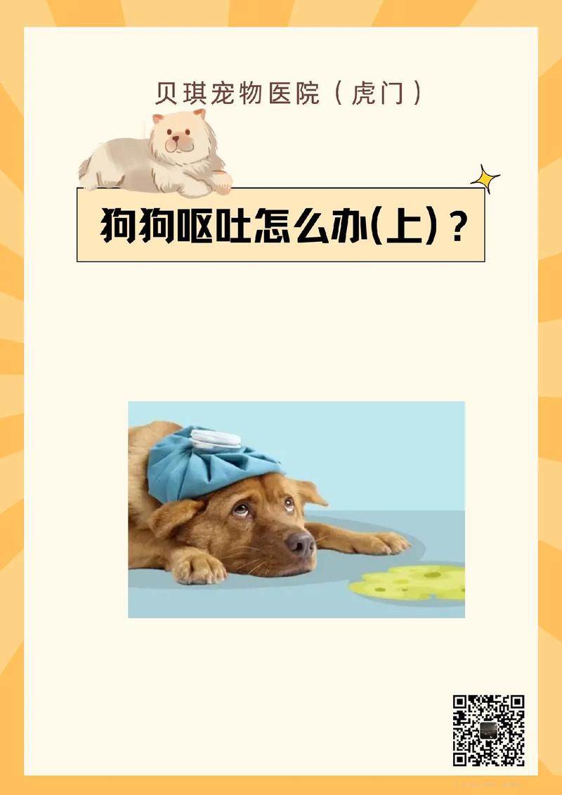 狗狗老是吐怎么办_狗狗吐是什么原因-第5张图片-后鲨宠物 狗狗老是吐怎么办_狗狗吐是什么原因-第5张图片-后鲨宠物