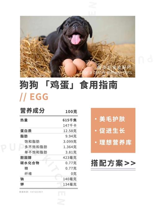  狗狗可以吃煮鸡蛋吗，宠物狗可以吃煮鸡蛋吗-第2张图片-后鲨宠物