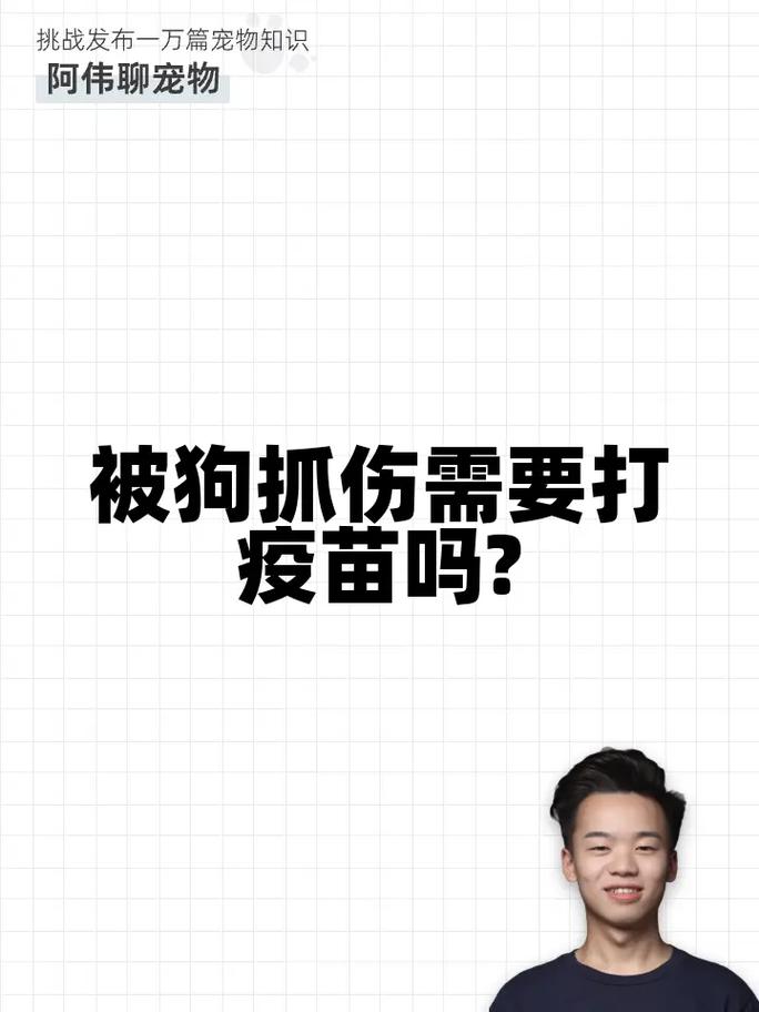 被自家狗狗抓伤要不要打针,被自家狗狗抓了一下!!!!求助!-第4张图片-后鲨宠物 被自家狗狗抓伤要不要打针,被自家狗狗抓了一下!!!!求助!-第4张图片-后鲨宠物