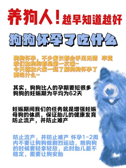 狗狗多大生宝宝_狗狗多大生宝宝最合适-第3张图片-后鲨宠物 狗狗多大生宝宝_狗狗多大生宝宝最合适-第3张图片-后鲨宠物