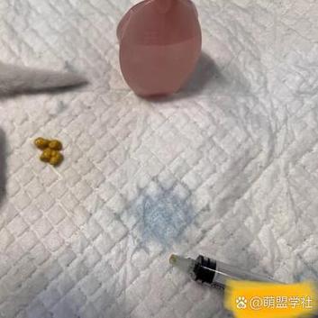 猫咪便秘能用开塞露吗,猫咪便秘能用开塞露吗?-第2张图片-后鲨宠物 猫咪便秘能用开塞露吗,猫咪便秘能用开塞露吗?-第2张图片-后鲨宠物