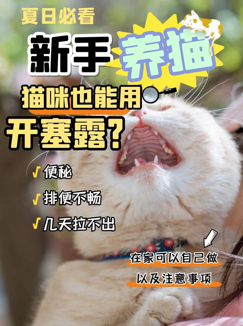 猫咪便秘能用开塞露吗,猫咪便秘能用开塞露吗?-第5张图片-后鲨宠物 猫咪便秘能用开塞露吗,猫咪便秘能用开塞露吗?-第5张图片-后鲨宠物